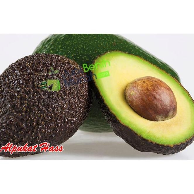 

BUAH Alpukat GRADE B | 1 Kg | Kualitas premium 100% GARANSI