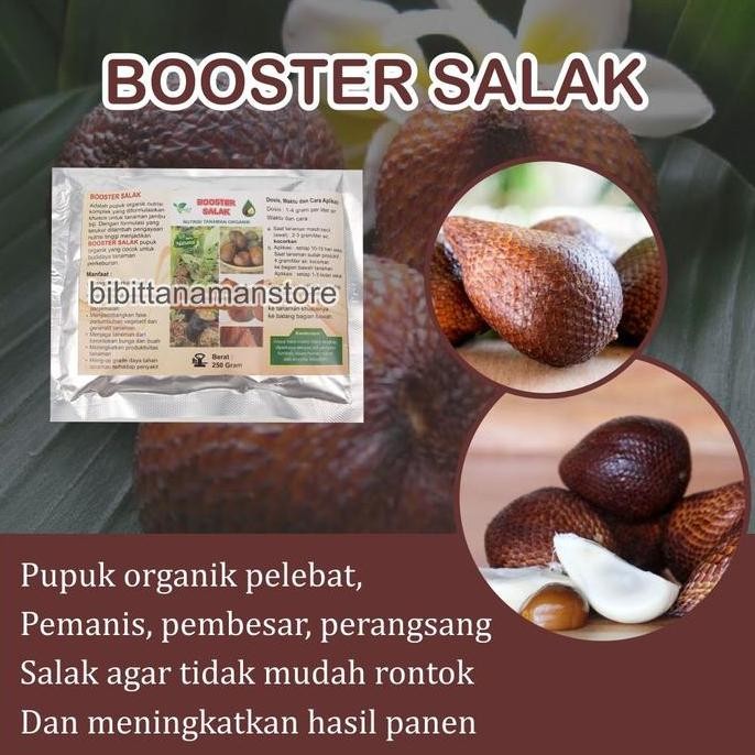 

Pupuk Organik Pelebat Buah dan Booster Salak Cepat Berbuah Lebat