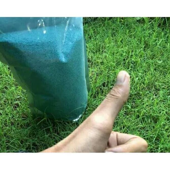 

BENIH BIJI RUMPUT SWISS 50G KEMASAN EKONOMIS TERMURAH