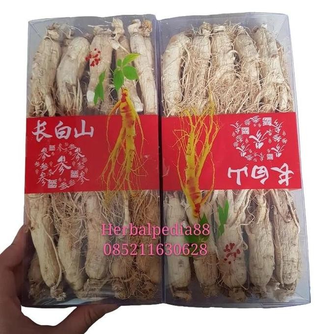 

Ginseng utuh chang bai shan ren shen grade AA 500gram
