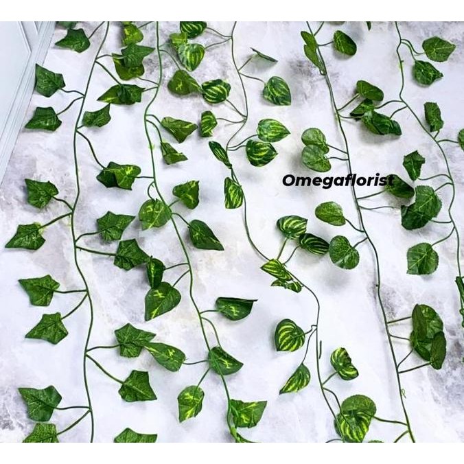 

Promo Daun Rambat Kecil Lusinan Panjang +- 220 CM (ISI 12), Daun Anggur, Daun Lvy, Daun Watermelon, Daun Sirih Gading COD