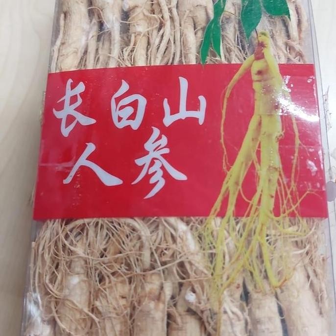 

BEBAS ONGKIR - Akar Ginseng Utuh China Ren Shen Cina 150gram