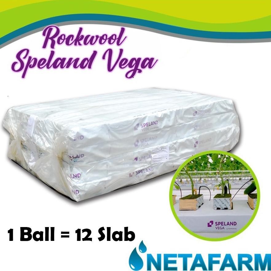 Rockwool Vegetation Mats SPELAND VEGA 1 ball 12 Slab