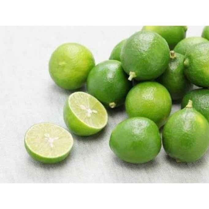 

Terlaris Bibit Jeruk Nipis Sudah Berbuah