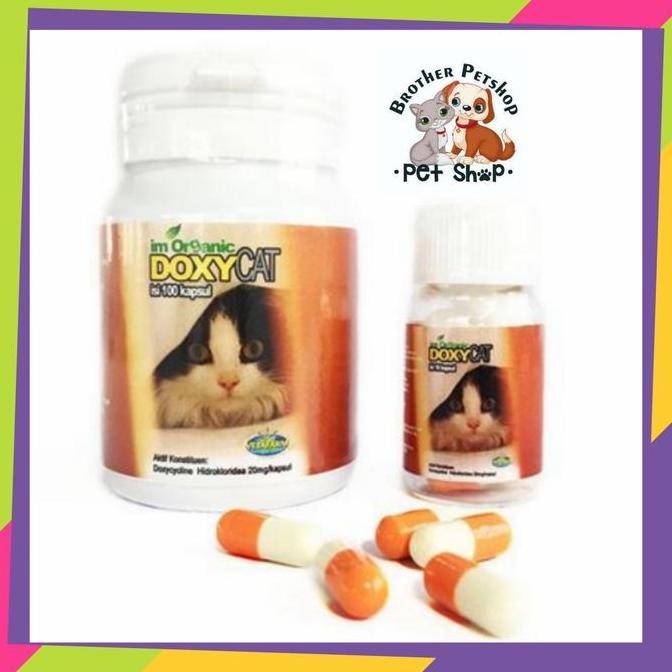 Obat Flu Kucing Doxy Cat 1 Btl 100capsul DoxyCat Im Organic Antibiotik
