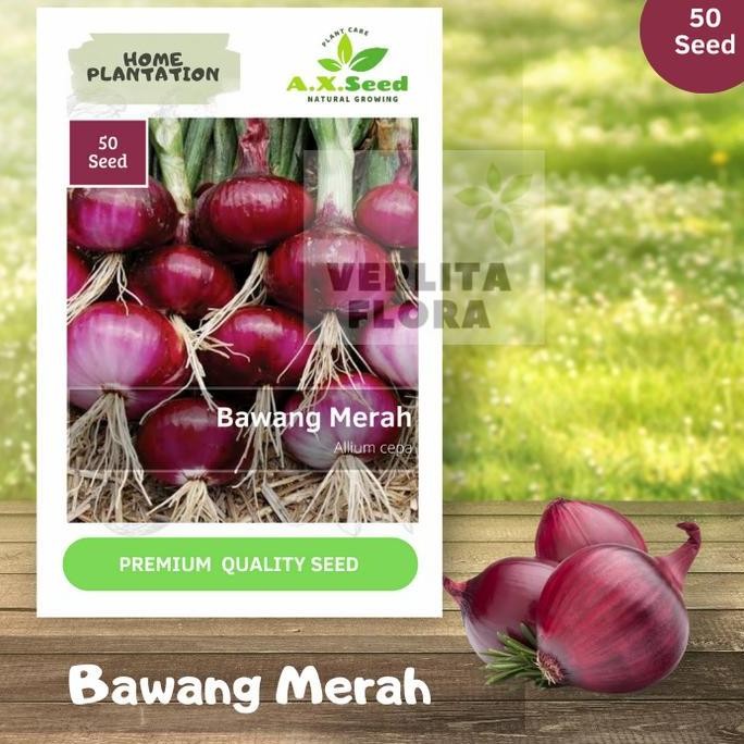 

Terlaris Benih Bibit Bawang Merah - Ax Seed