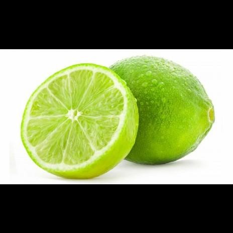 

Terlaris Bibit Tanaman Buah Jeruk Nipis Asli, Pohon Jeruk Nipis Unggul