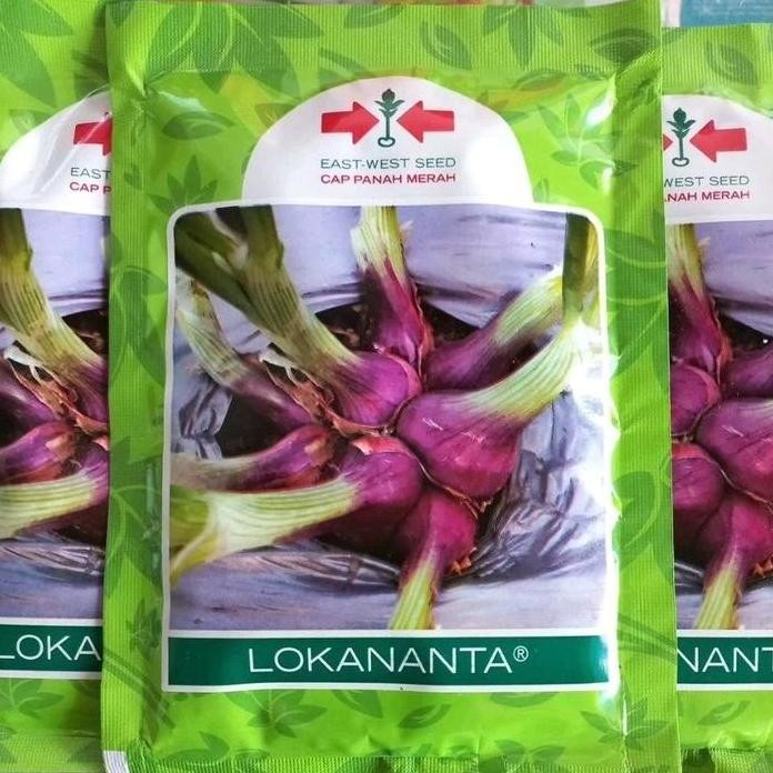 

Terlaris Ready Fresh Benih Bawang Merah Lokanata/Bibit Unggul Isi 10 Gram Tanaman