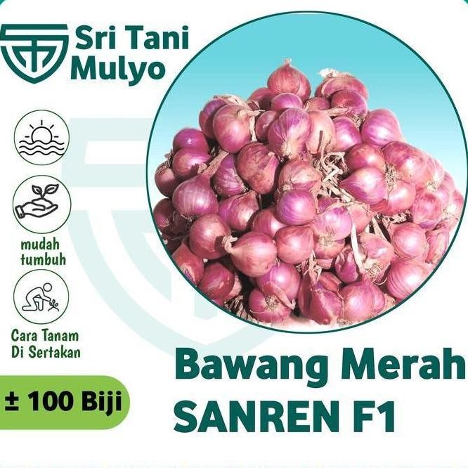 

Terlaris Panah Merah 100 Biji - Benih Bawang Merah Sanren F1 - Bibit Sayuran - Benih Sayuran