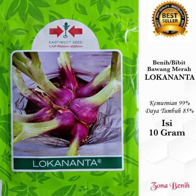 

Terlaris Ready Fresh [Isi 10 Gr] Benih Bawang Merah Lokananta - Bibit Bawang Merah