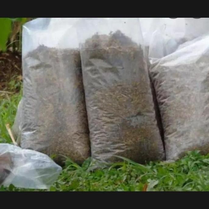 

Terlaris Media Tanam Pupuk Kandang Ayam Kemasan 1Kg