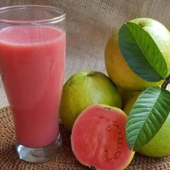 

Terlaris 10 Biji Bibit Jambu Biji Merah Super Manis Daging Tebal/Guava A