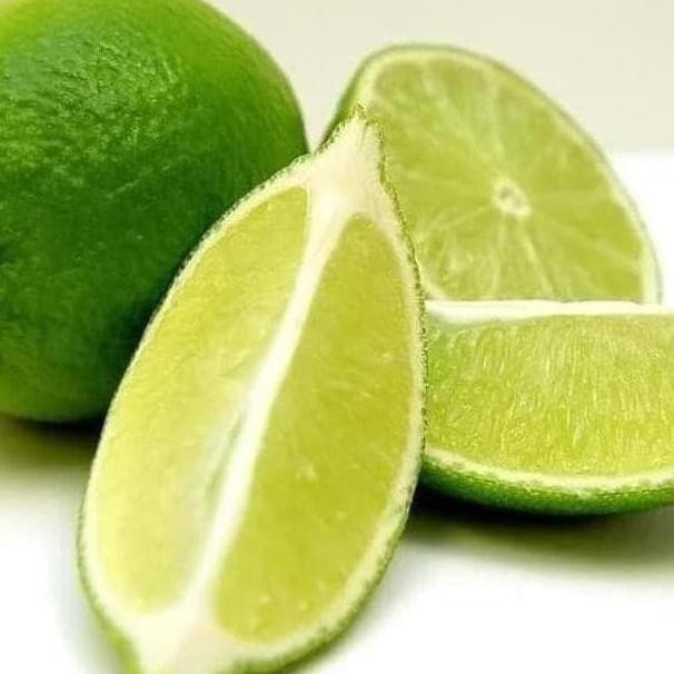 

Terlaris Teercayaa O0 Bibit Pohon Buah Jeruk Nipis - Tanaman Jeruk Atz