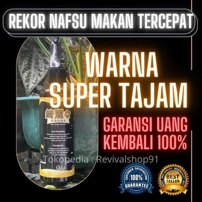 Terlaris Terlaris Vitamin Ikan Arwana,Vitamin Ikan Arwana Super Red,Vitamin Buat Ikan Arwana,Obat Vi