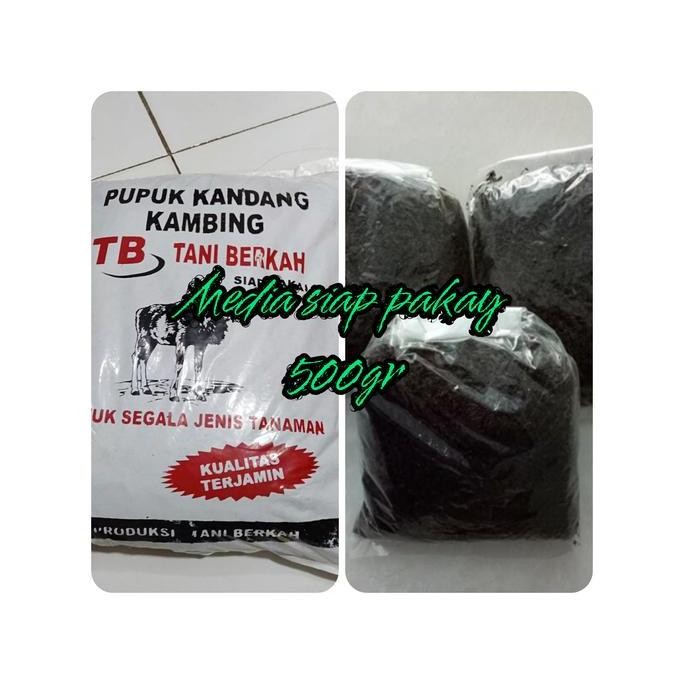 

Terlaris Media Pupuk Kandang Prmentasi Siap Pakay Untuk Tanaman Hias Dll.500Gr