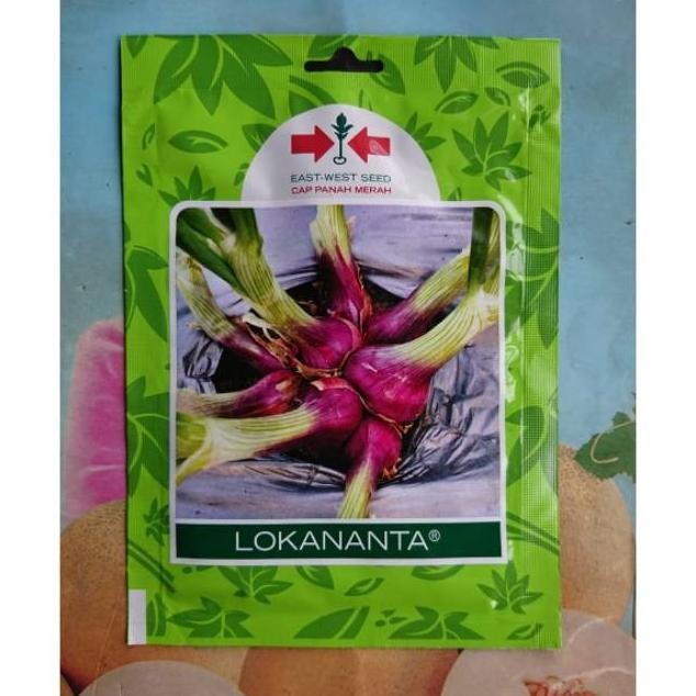 

Terlaris Benih Bibit Bawang Merah Unggul Lokananta 800Bj Yptpch 8654Dg