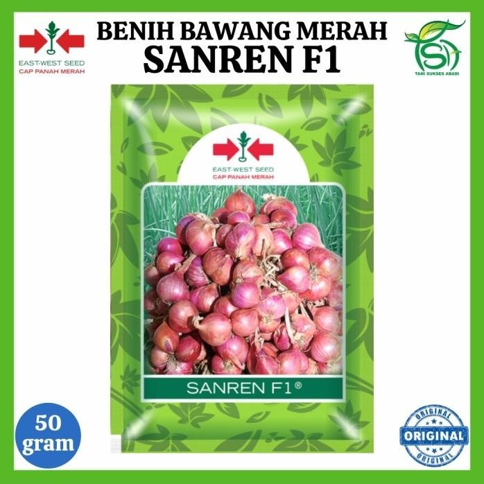 

Terlaris Benih Bawang Merah Sanren F1 (50 Gram) - Bibit Cap Panah Merah 50 Gr