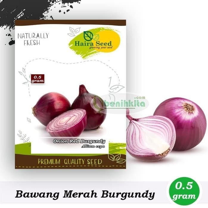 

Terlaris Benih-Bibit Bawang Merah Red Burgundy (Haira Seed)