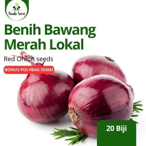 

Terlaris Best Isi 20 Benih Biji Bibit Bawang Merah Lokal Unggul Berkualitas - Tanpa Polibag
