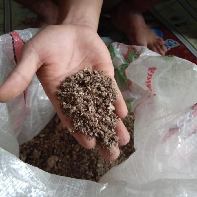 

Terlaris Pupuk Kandang Ayam Murni Tanpa Campuran Sekam Per 10Kg