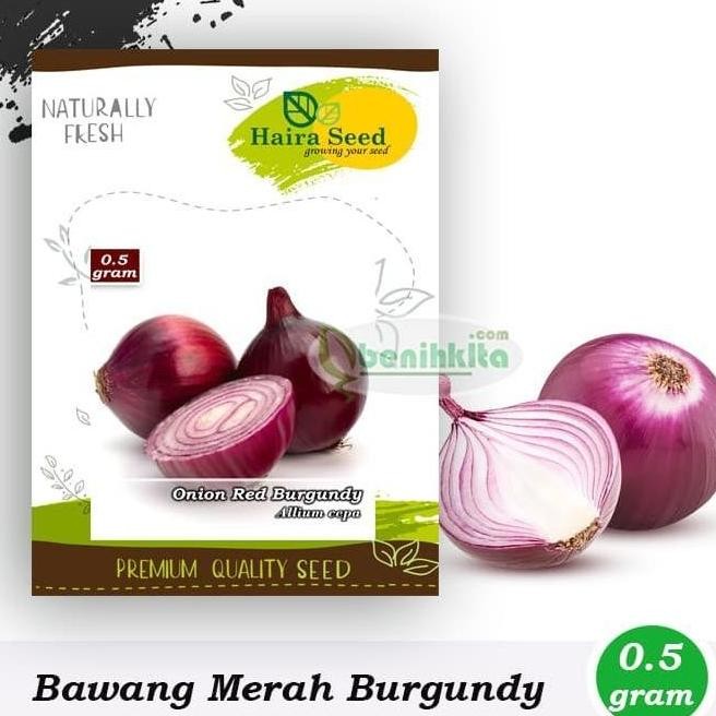 

Terlaris Alat Pertanian Taman Garden Benih-Bibit Bawang Merah Red Burgundy (Haira Seed)