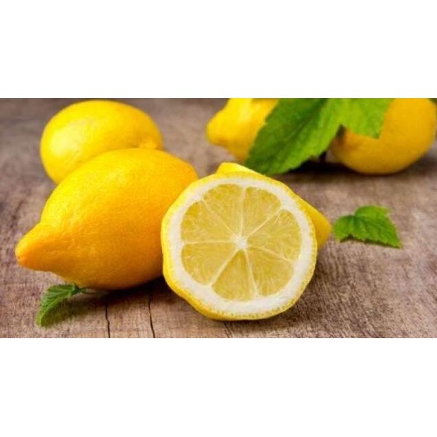 

Terlaris Parling Laris! Bibit Tanaman Jeruk Nipis Dan Lemon California
