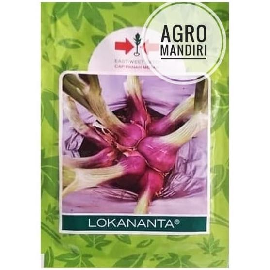 

Terlaris Benih Bibit Bawang Merah Lokananta 10 Gram Cap Panah Mer Ydvtnt 6771Sj