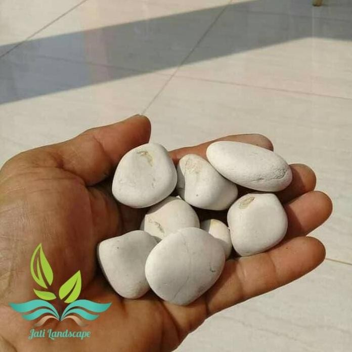 

Terlaris Promo Batu Koral Putih Ukuran 1Kg Untuk Hiasan Pot Dan Aquarium