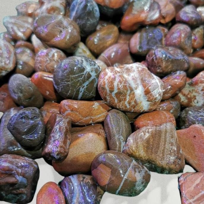 

Terlaris Batu Koral Merah Maron 1 Kg Hiasan Taman / Aquarium