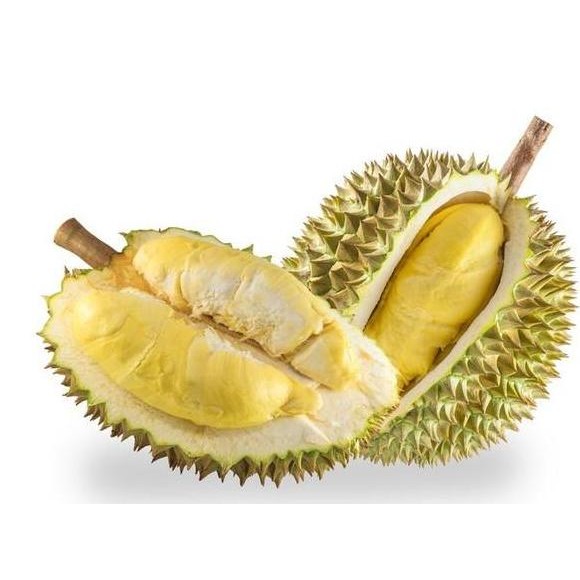 

Terlaris Bibit Durian Bawor Valid