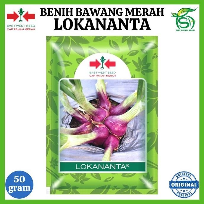 

Terlaris Benih Bawang Merah Lokananta 50 Gram - Bibit Cap Panah Merah 50 Gr