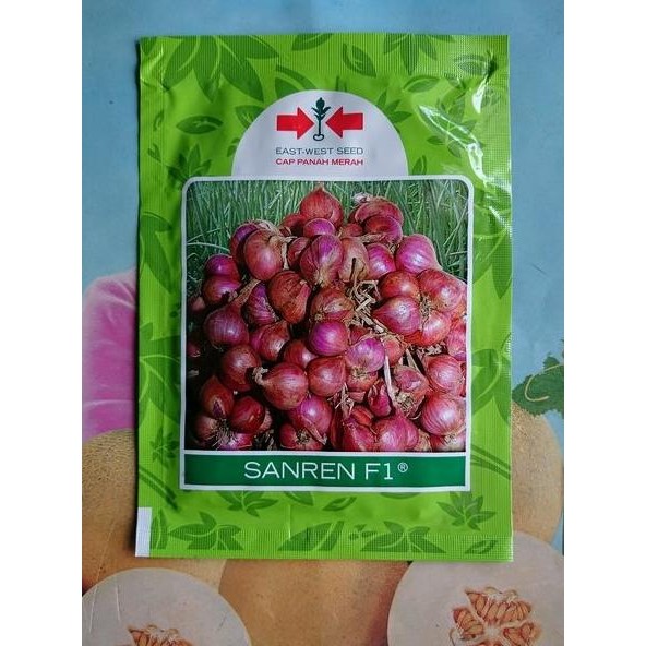

Terlaris Benih Bibit Bawang Merah Hibrida Sanren F1 10Gr Murah