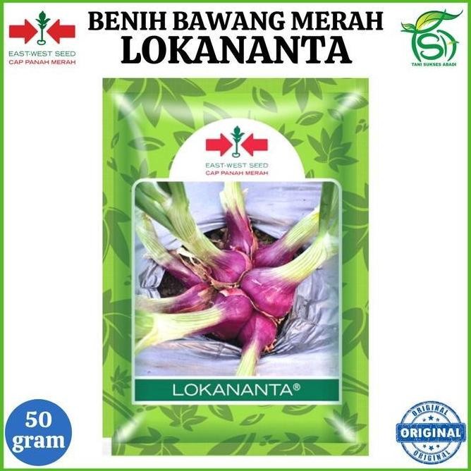 

Terlaris Produk Promo Benih Bawang Merah Lokananta 50 Gram - Bibit Cap Panah