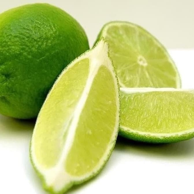 

Terlaris Paling Laris O0# Bibit Pohon Buah Jeruk Nipis - Tanaman Jeruk Nipis A