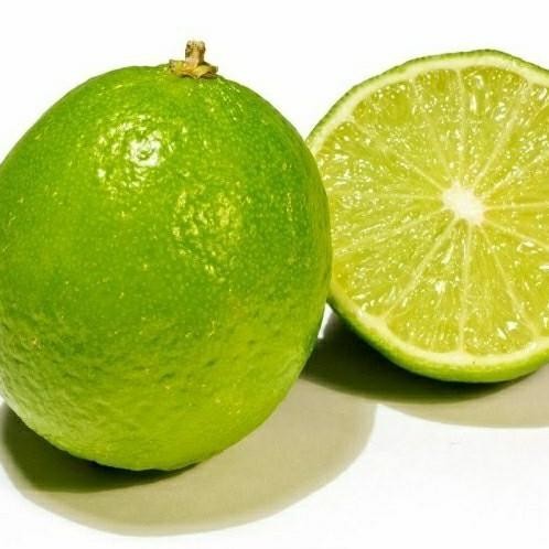 

Terlaris Bibit Tanaman Buah Jeruk Nipis Okulasi Atz