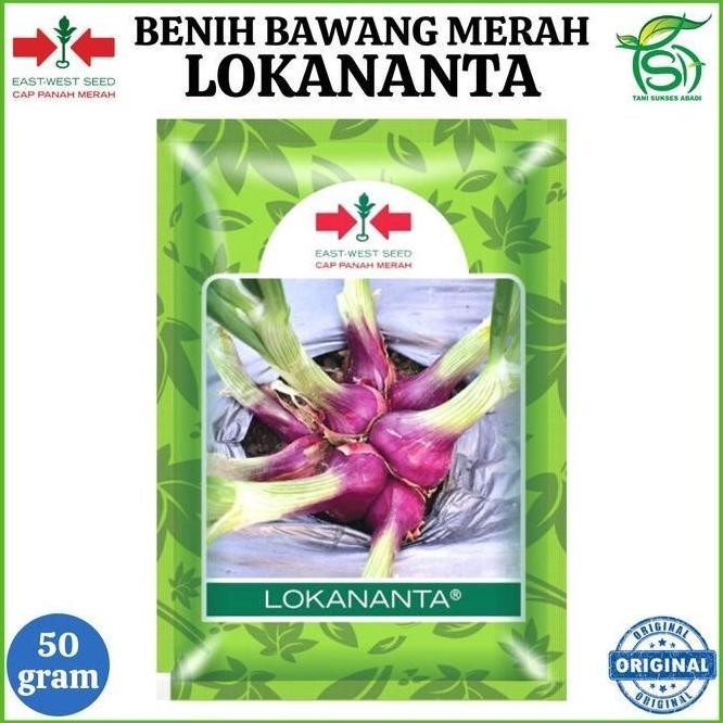 

Terlaris Benih Bawang Merah Lokananta 50 Gram - Bibit Cap Panah Merah 50 Gr