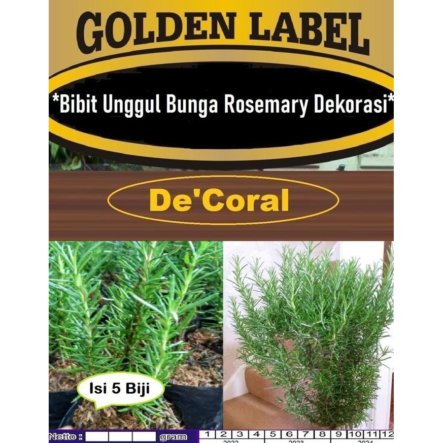 

Terlaris Bibit Unggul Bunga Rosemary Dekorasi|Benih Bunga Rosemary Dekorasi