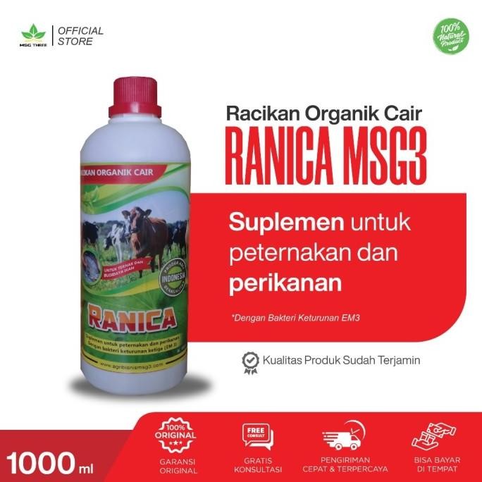 

Terlaris Vitamin Untuk Ternak Dan Ikan (Ranica) Msg 3 Dari Bahan Organik