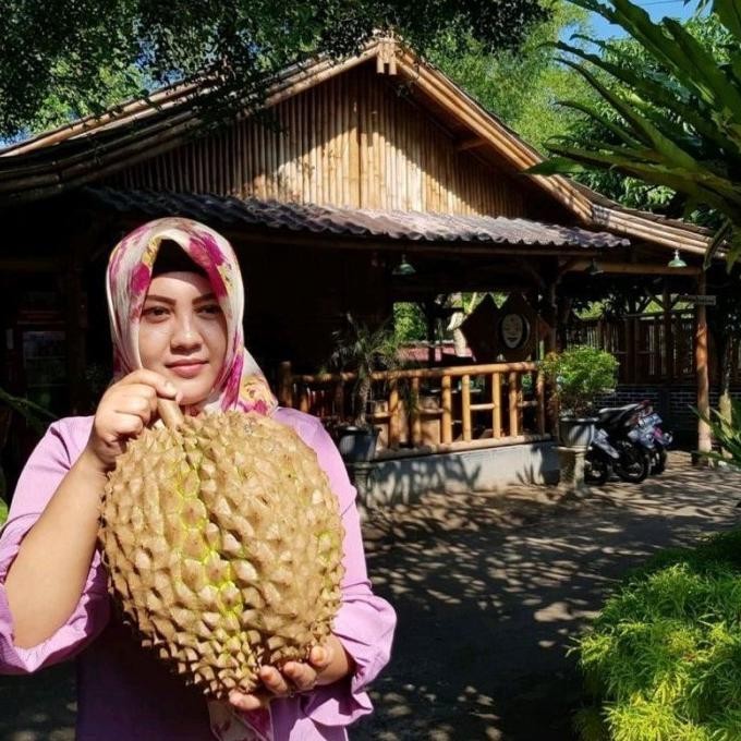 

Terlaris Bibit Durian Bawor Super Besar Hasil Okulasi Unggul