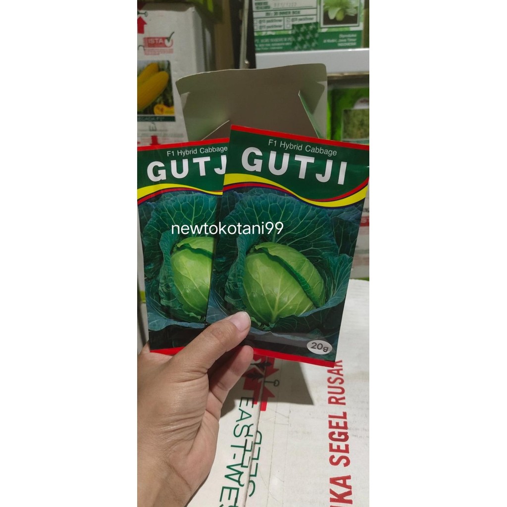 || BANANA / Benih kubis GUTJI F1 20 gram kol hibrida gutji dari AMS ||~~~