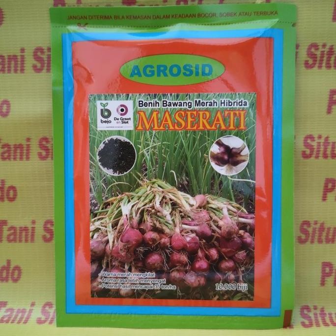 

Terlaris Bibit Bawang Merah Maserati Hibrida
