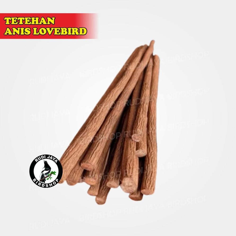 Aq-54 Up15 Tangkringan Asem Jawa Tetehan Super Lomba Burung Murai Kacer Kenari Pleci Untuk Plangkrin