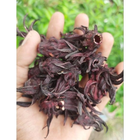 

Bunga Rosella Ungu Kering 50 Gram Rosela