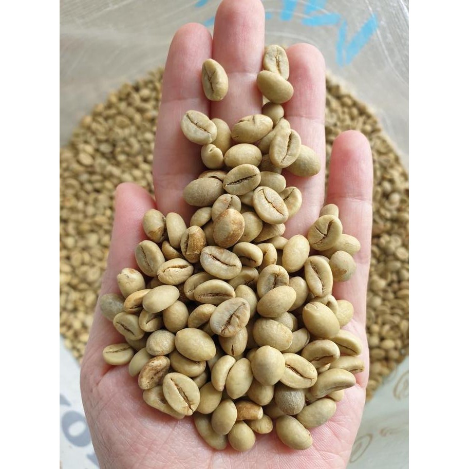 

Biji Kopi Robusta Poles/Selep (After Polish) Wbb (Grade 1 Biji Besar)