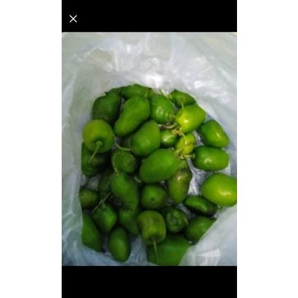

Praktis Cabe Gendot Bandung Cabai Bendot Fresh 500Gr