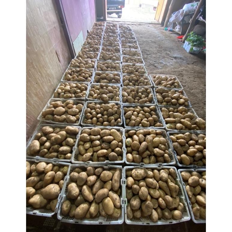 

Kualitas Tertinggi Kentang Dieng 1Kg