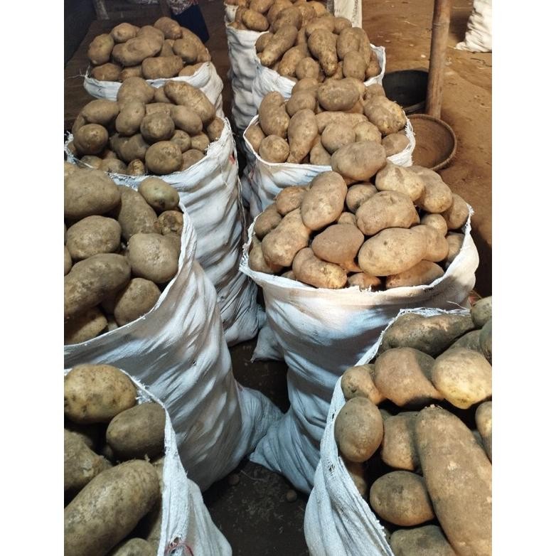 

Inovasi Kentang Dieng Super 1Kg