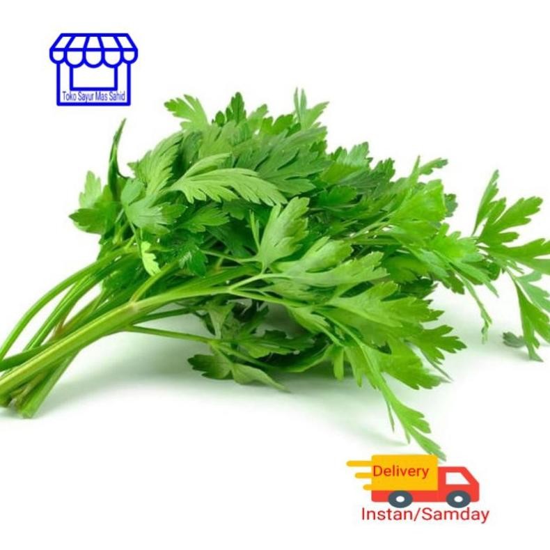 

Cod Seledri Daun Sledri Segar Daun Sop 100 Gram