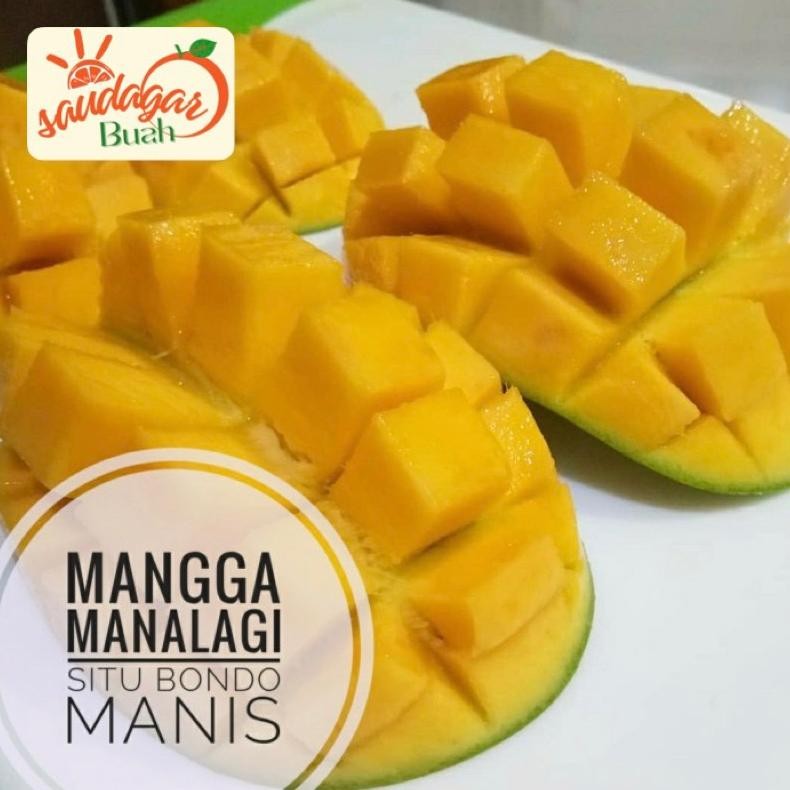 

Inovasi Buah Mangga Manalagi Manis Mangga Simanalagi 1Kg Murmer