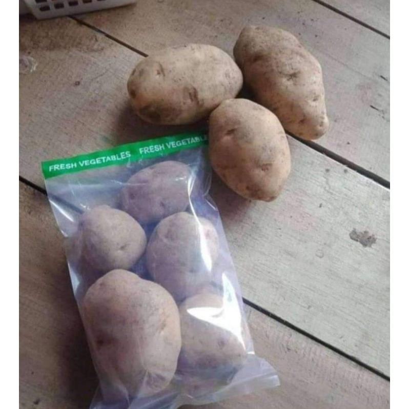 

Terlaris Kentang Super Segar [ Ukuran Sedang 500 Gr ]